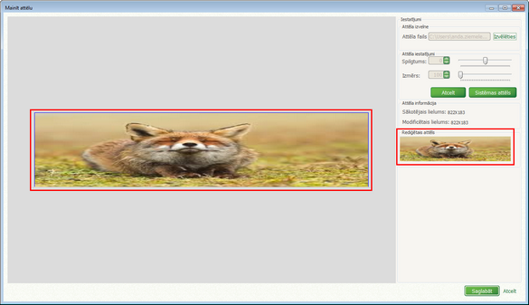 adina_redig_logs_mazs_attels_gatavs_zoom45