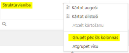 grupe_pec_kolonnas_zoom70
